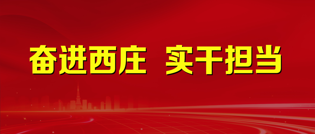 西庄镇2月12日工作动态