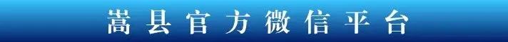 辛俊峰安排部署调研这些工作