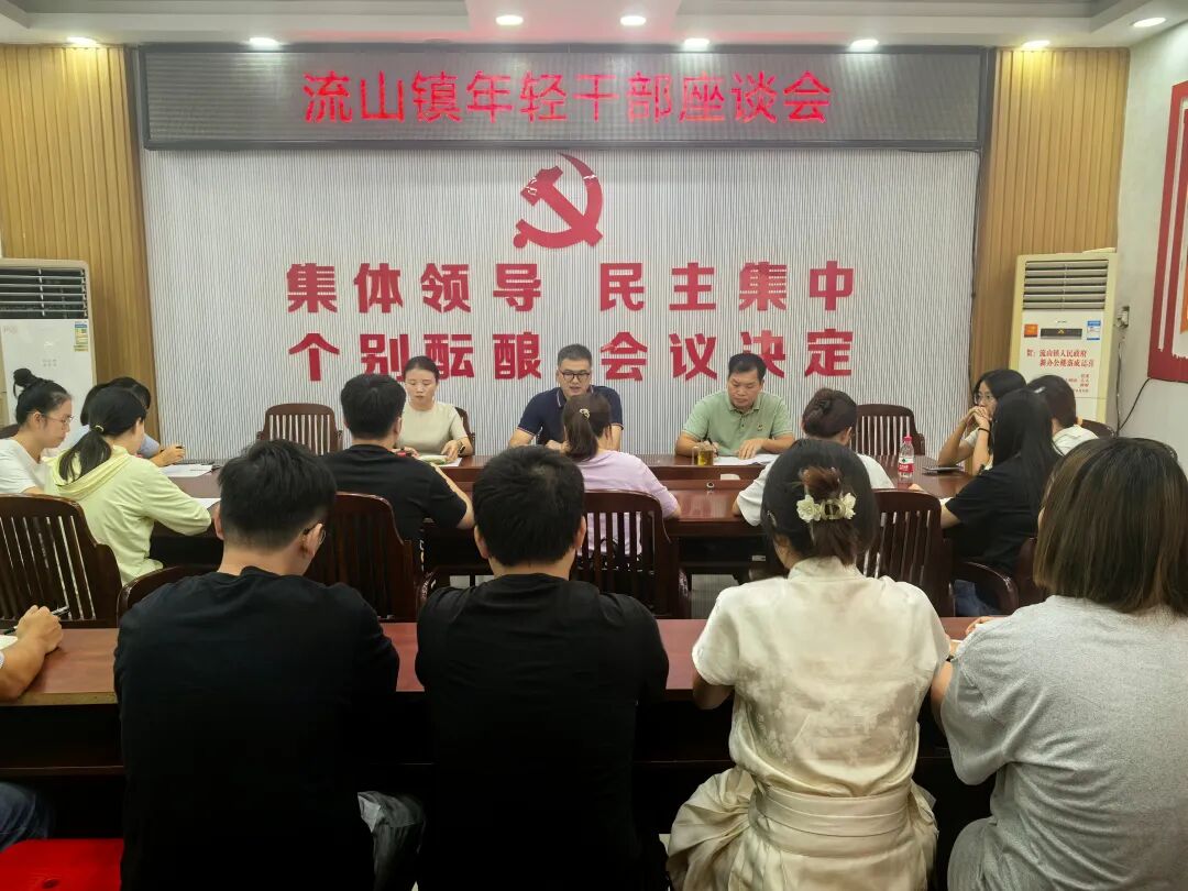 青春正当时 知责共奋进——柳南区流山镇召开年轻干部座谈会