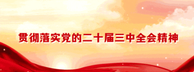 2 (2).gif