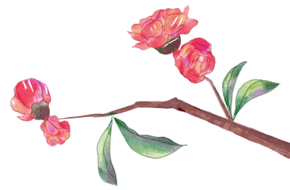 竹韵清风 - 格律诗词248期