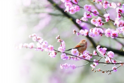 艰苦奋斗再创业 改革开放再出发——四十位代表委员热议改革开放四十年