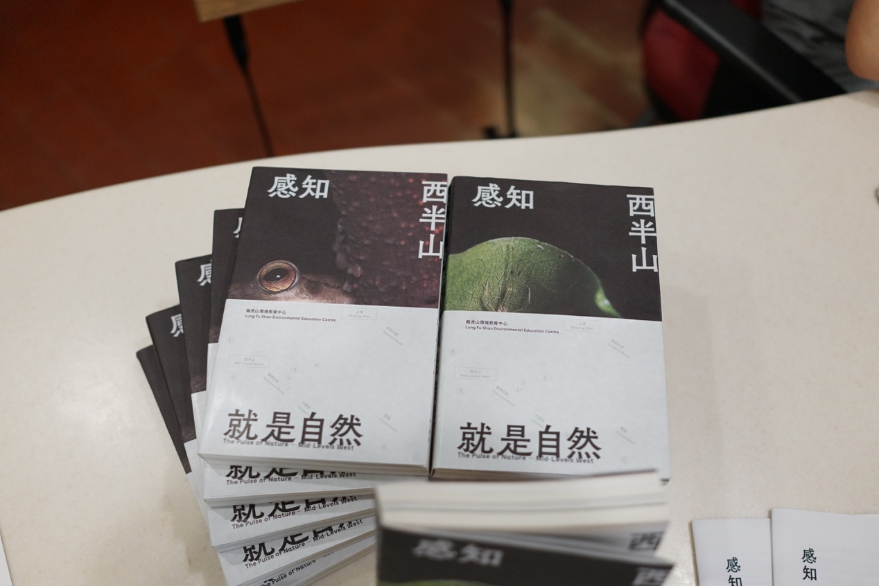 艺术与社群｜香港龙虎山环境教育中心：催化社区环保意识