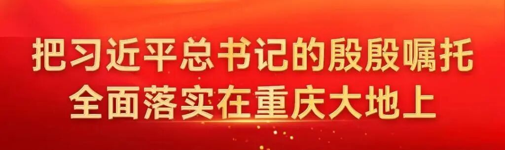 央企投资协会来彭考察座谈会举行