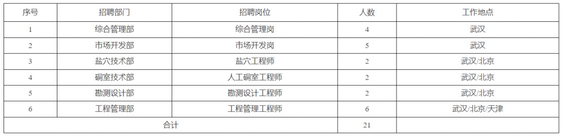 中能建数字科技集团有限公司2024年第二批社会招聘公告