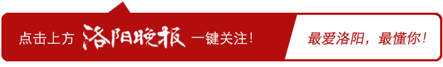 洛阳市第十六届人民代表大会代表名单