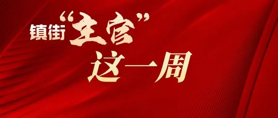 拼干劲 比实绩丨镇街“主官”这一周（第83期）