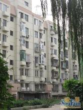 西直门木材厂--陈君远