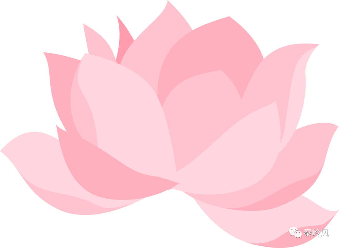 秦岭风总第170期