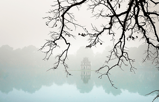 竹韵清风 - 格律诗词244期