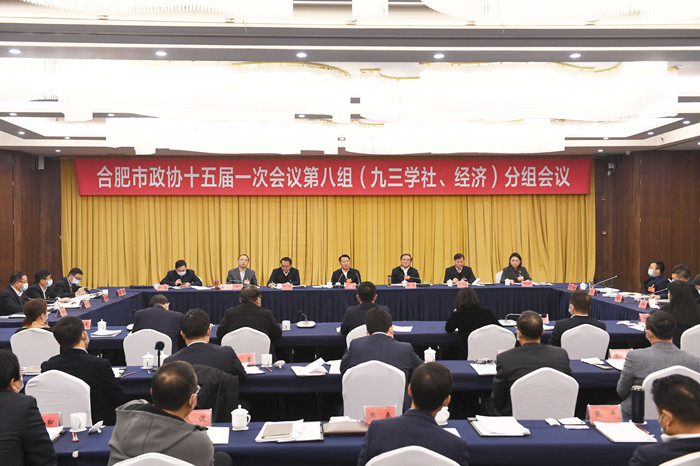 九三学社合肥市委参加市政协十五届一次会议提交提案并获表彰