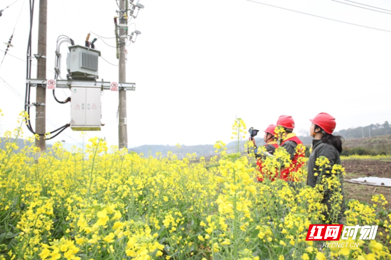 国网资兴市供电公司：“繁花”时刻迎客来  电力先行保民生