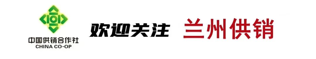 中国再生资源集团来兰考察调研再生资源循环利用体系建设工作