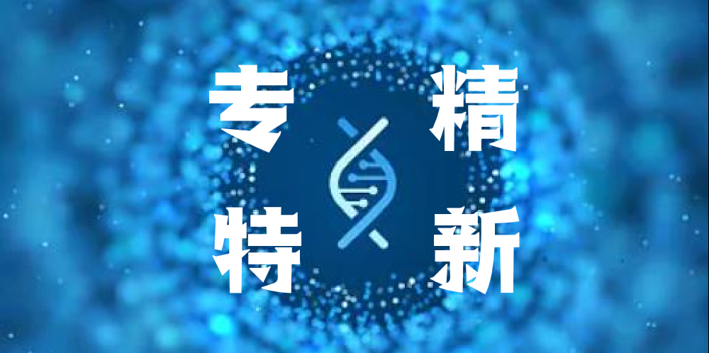 公示 ｜ 2024年上海市专精特新中小企业名单（第一批）公示