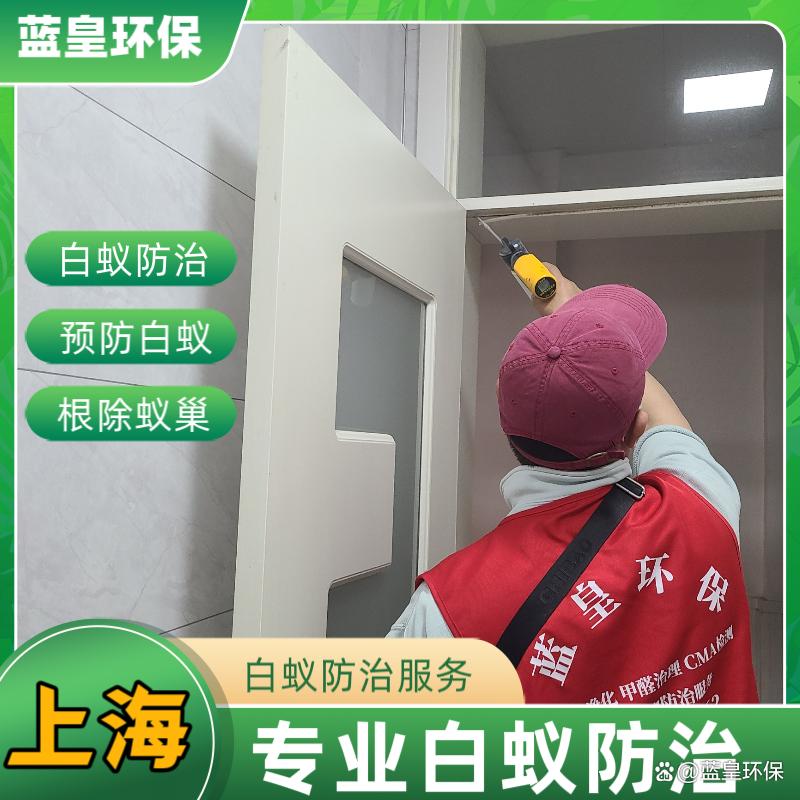 上海白蚁防治警报！金山区白蚁肆虐，蓝皇环保专业上门灭蚊无忧